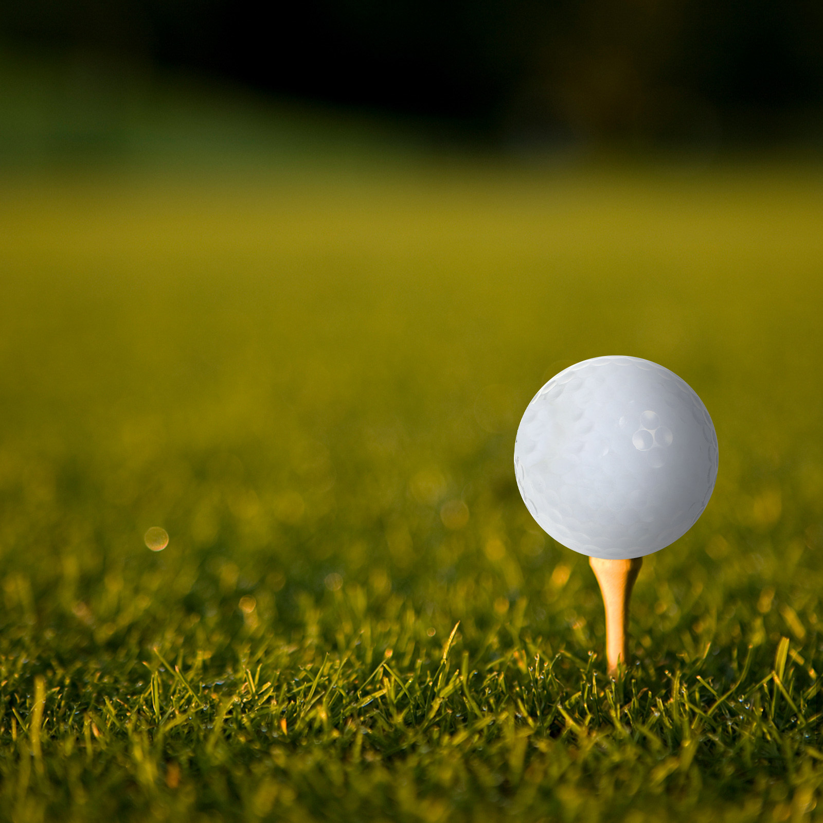 Golf Equipment Beginners - Bolas de golfe para prática em