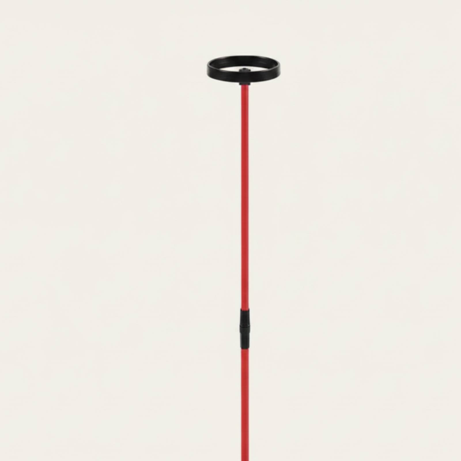 Auxiliar de Treinamento de Gol - Training Aid Swing avaliação e preço